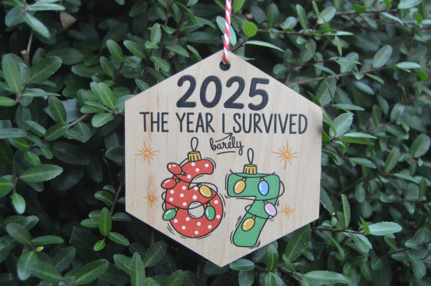 2025 — the year I barely survived 67