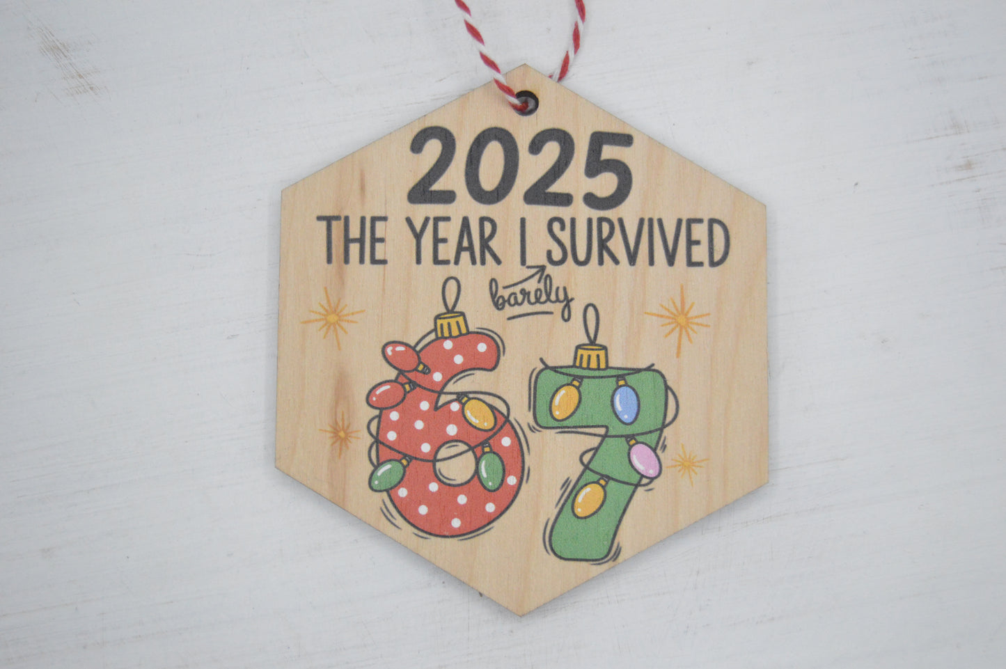2025 — the year I barely survived 67