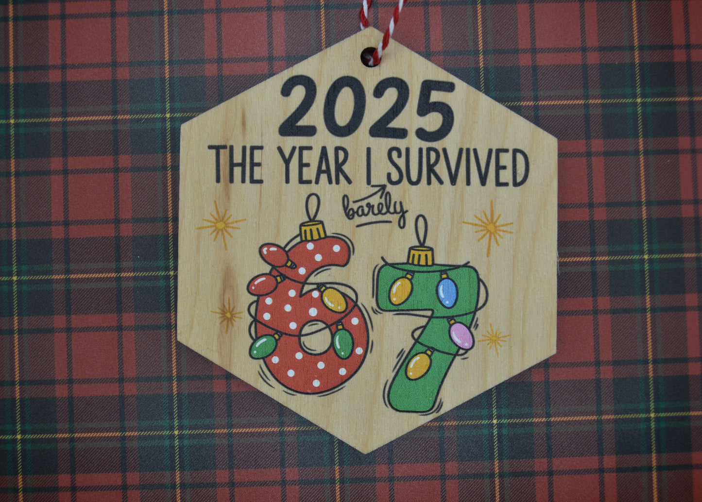 2025 — the year I barely survived 67