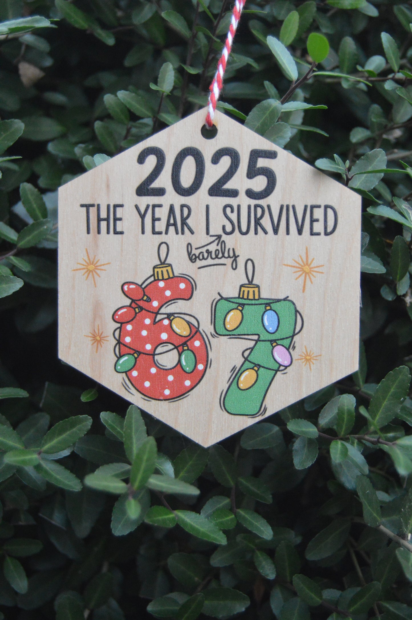 2025 — the year I barely survived 67