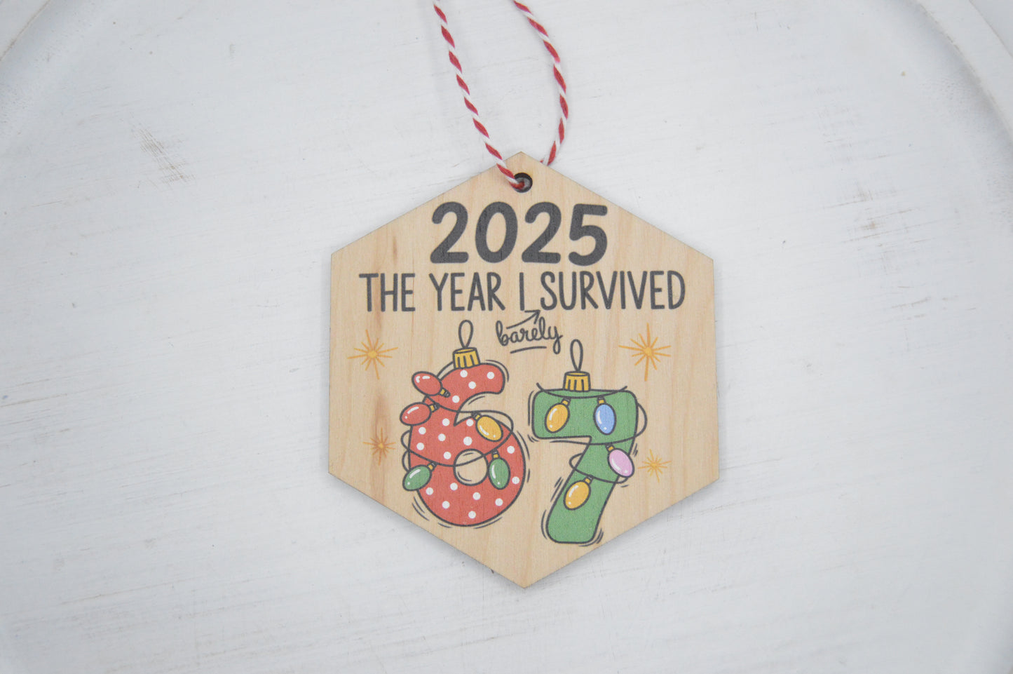 2025 — the year I barely survived 67